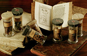 Botanical Collection Photograph by Science Photo Library