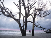 Botany Bay Beach Walk Photograph by Jo Ann Tomaselli Botany Bay Beach Walk Photograph by Jo Ann Tomaselli
