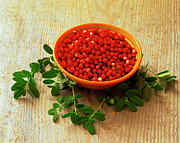 Bowl Of Cranberries Photograph by Science Photo Library