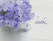Breathe Photograph by Kim Hojnacki