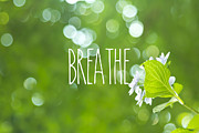 Breathe Refreshing Hydrangea Green Leaves and Bokeh Photograph by Beverly Claire Kaiya