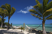 Breezy Island Life Photograph by Adam Romanowicz