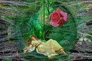 Briar Rose Digital Art by Lisa Yount