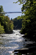 Bridge over Foaming Falls Photograph by Monroe Payne