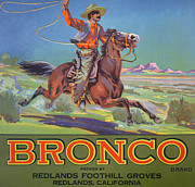 Bronco Oranges Painting by American School Bronco Oranges Painting by American School