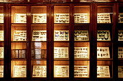 Butterfly Collection Photograph by Science Photo Library