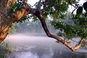 By the Water's Edge Photograph by Mary Lou Chmura