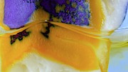 Cabbage As Ph Indicator Photograph by Science Photo Library