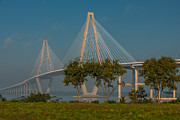 Cable Stayed Bridge Photograph by Dale Powell