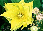 Cactus Flower Painting by Barbara Jewell Cactus Flower Painting by Barbara Jewell