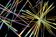 Caffeine Crystals Photograph by Science Photo Library