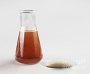 Calcium Ethanoate Photograph by Clive Streeter / Dorling Kindersley
