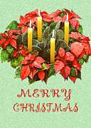 California Cactus Christmas Photograph by Mary Helmreich