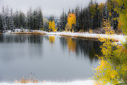 Calm Photograph by Chuck Jason