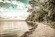 Calm Lake - Future Photograph by Hannes Cmarits