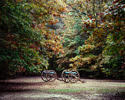 Cannons in the Clearing Photograph by Jai Johnson