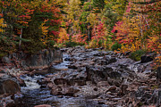 Canyon color rushing waters Photograph by Jeff Folger