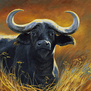 Cape Buffalo Painting by Lucie Bilodeau