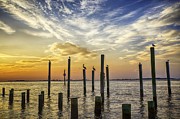 Cape Fear Sunrise Photograph by Nick Noble