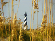 Cape Hatteras Lighthouse Photograph by Stacy Abbott