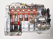 Car Engine Photograph by Dave Rudkin / Dorling Kindersley