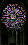 Carcassonne rose window Photograph by Jenny Setchell