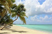 Caribbean Dream Beach Photograph by Shunyufan