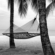 Caribbean Gateway Photograph by Radek Hofman