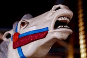 Carousel Horse Photograph by R B Harper
