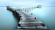 Carrasqueira II Photograph by Jes?s M. Garc?a