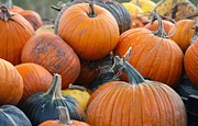 Cart of Pumpkins Photograph by Veronica Batterson