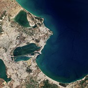 Carthage Photograph by Science Photo Library