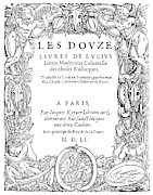 Cartouche, 1551 Painting by Granger