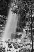 Cascade Falls Photograph by Melany Sarafis