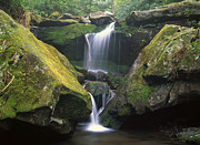 Cascade Near Grotto Falls Great Smoky Photograph by Tim Fitzharris