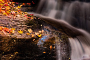 Cascading Fall Colors Photograph by Jeff Folger