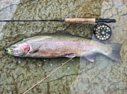 Catch and Release Photograph by David Armstrong