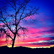 Mulholland Pass Photograph by Farmosis Art Studio