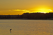 Causeway Sunset at Huntington Beach SP Photograph by Bill Barber