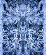 Cernunnos Photograph by Tim Gainey