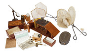 Chalmers-hunt Entomology Collection Photograph by Science Photo Library