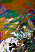 Changes Photograph by Anthony Sacco