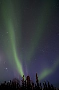 Chasing Lights Photograph by Priska Wettstein