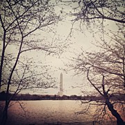 Cherry Blossoms Should Be Out By Photograph by Chris Morgan