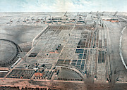 Chicago, Union Stock Yard, 1878 Photograph by Science Source Chicago, Union Stock Yard, 1878 Photograph by Science Source