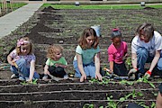 Children At Work In A Community Garden Photograph by Science Photo Library