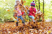 Children Playing In Autumn Leaves Photograph by Science Photo Library