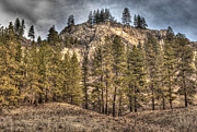China Bend 1 Photograph by Loni Collins