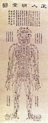 Chinese Acupuncture Chart, 1906 Photograph by Science Source Chinese Acupuncture Chart, 1906 Photograph by Science Source