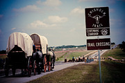 Chisholm Trail Centennial Cattle Drive Photograph by Toni Hopper